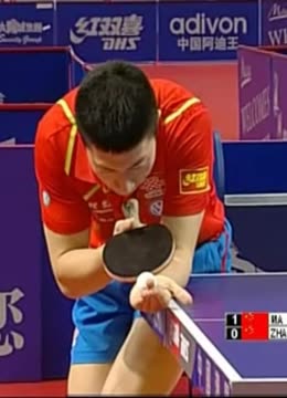 为什么球迷 为什么球迷